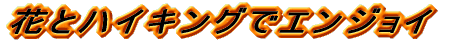 �Ă炳��̃z�[���y�[�W