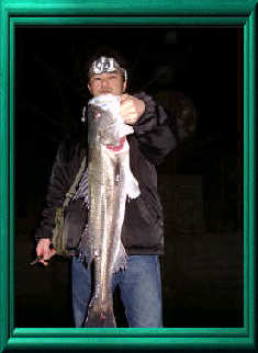 �|�C���g�i�r�̒B�l