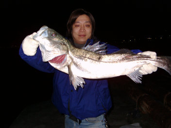 �N���b�N�Ŏg�p���A�[���ł܂��B