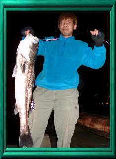 ZRX�P�Q�O�OR�I